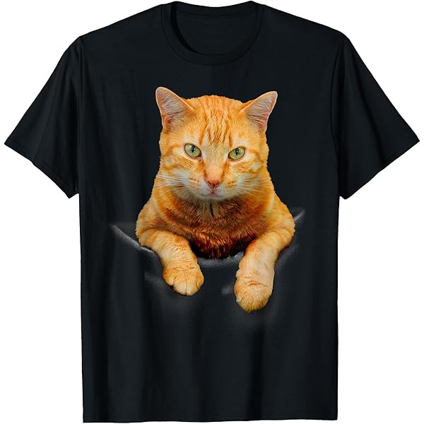 【toomuchtax】KITTEN BABY-T Amazon.com: Cute kitten looks from torn fabric - Cats T